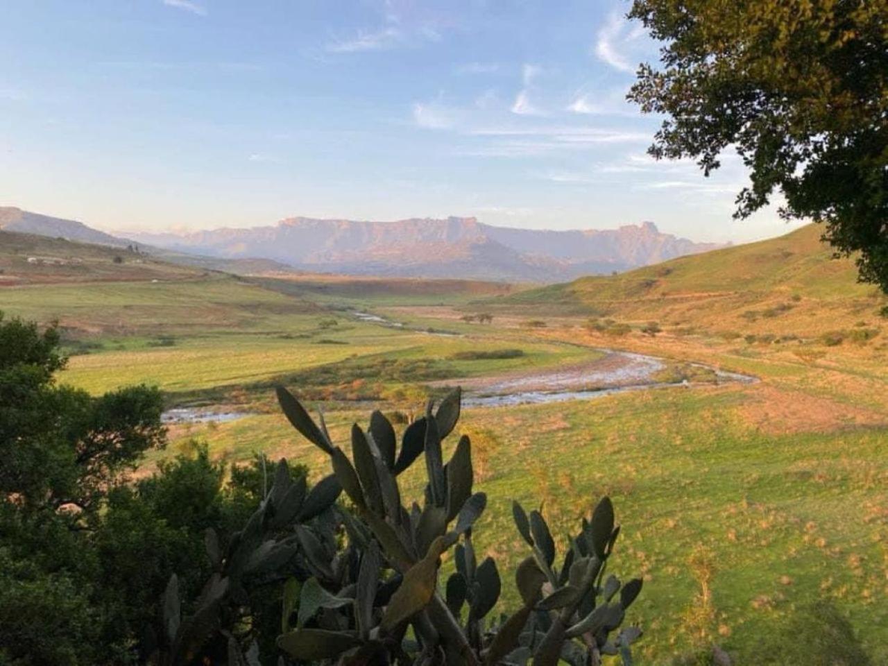 Hlalanathi Drakensberg Resort Бергвилль Экстерьер фото